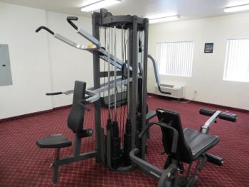 Siegel Select Flamingo