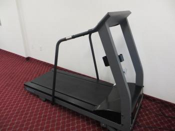 Siegel Select Flamingo