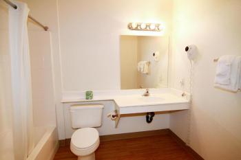 Siegel Select Flamingo